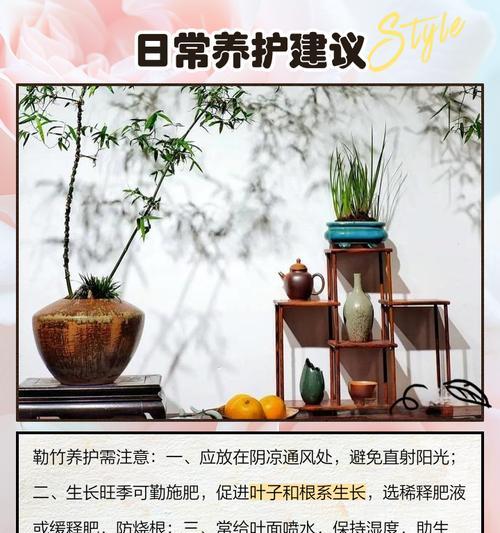 盆花浇水用什么水最适宜？
