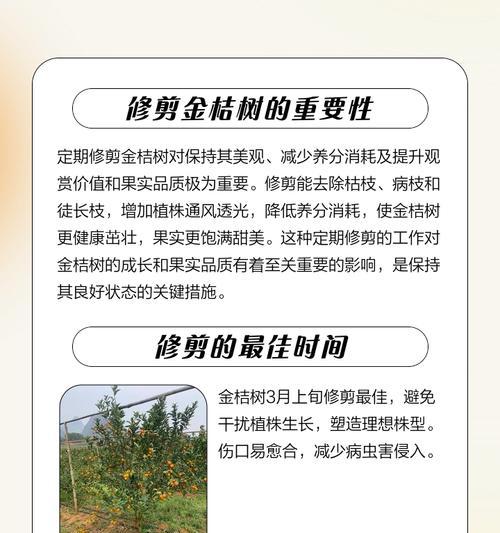 盆栽橘子树叶子发黄枯萎的解决方法？