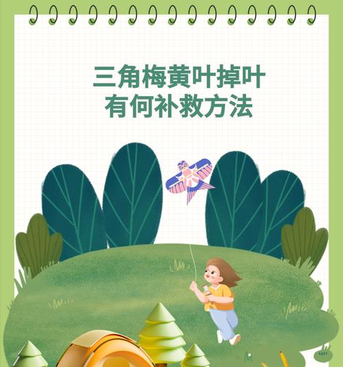 三角梅老叶片摘除的正确方法是什么？