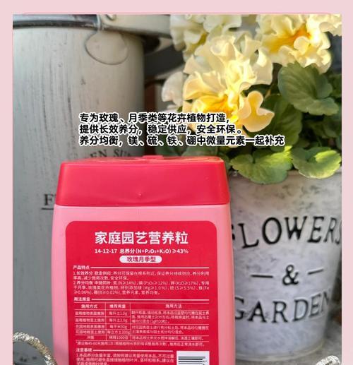 月季冬花的养护方法是什么？