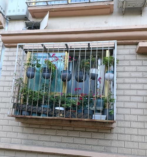 三角梅养成藤条怎么养？养护技巧有哪些？