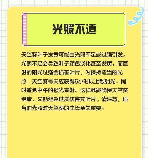 天竺葵长势不旺黄叶是什么原因？如何解决？