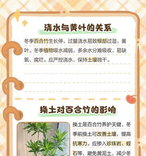 蓝竹叶子发黄怎么办？如何正确处理？