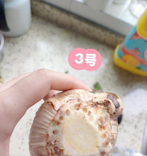 朱顶红削底了变红了是什么情况？是否正常？