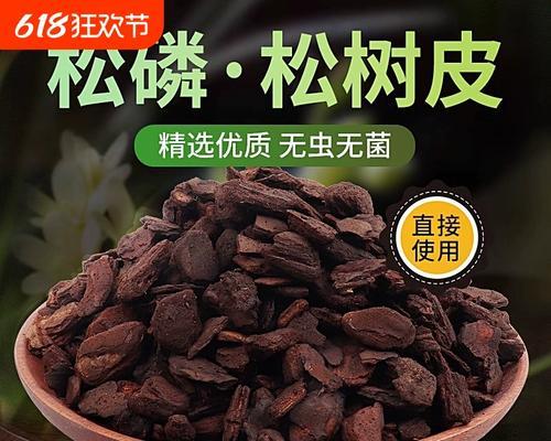 君子兰土如何发酵？步骤和注意事项是什么？