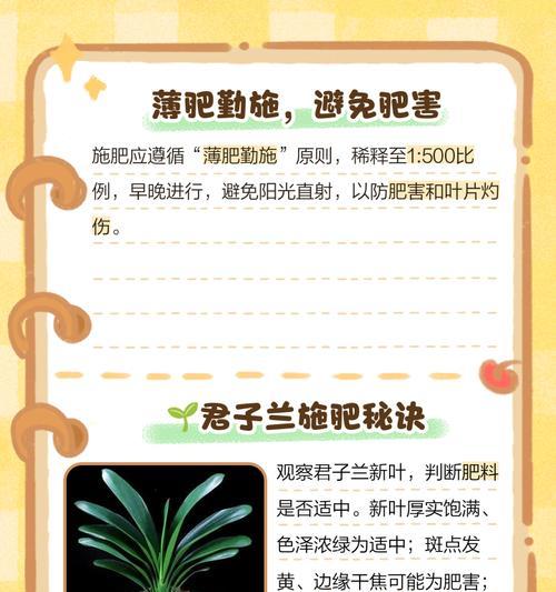 君子兰浇废油的正确方法是什么？