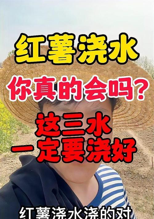 地瓜后期浇水的正确方法有哪些？