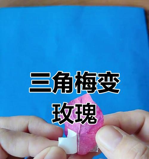 三角梅制作干花的步骤是什么？