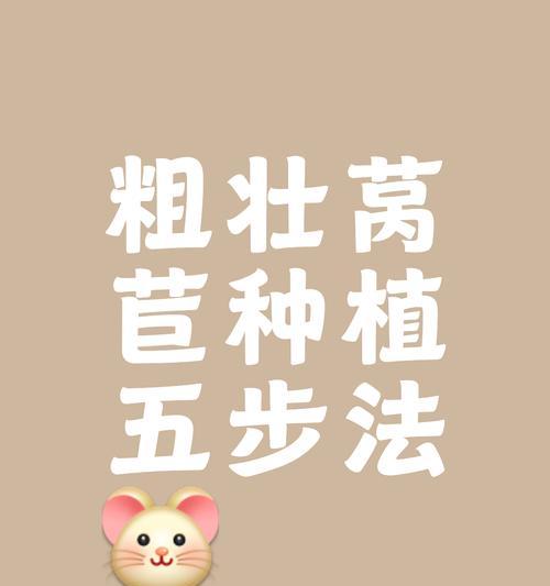 播种土壤类型是什么？如何选择合适的土壤？
