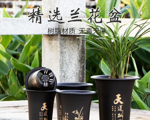 塑料盆种君子兰怎么样？塑料盆种植的优势？