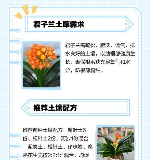 塑料盆种君子兰怎么样？塑料盆种植的优势？