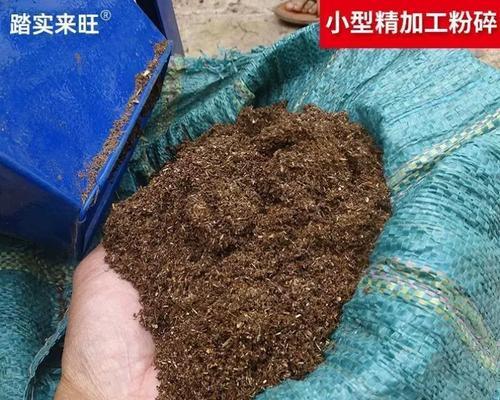 月季使用松针土的正确方法是什么？