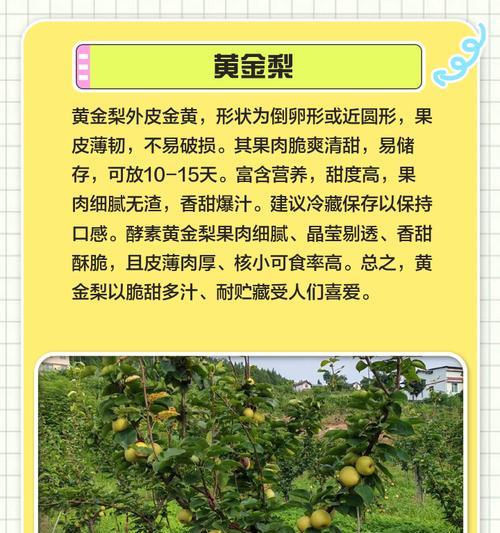 砂梨栽培技术有哪些有效方法？