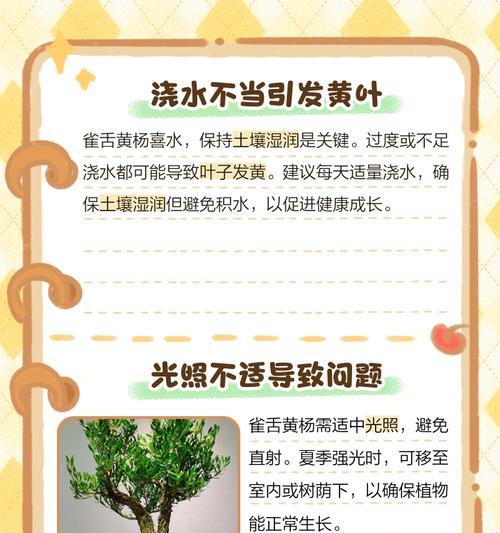新栽的黄杨叶子发黄怎么回事？可能的原因是什么？