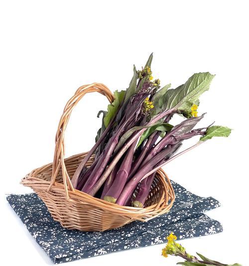 芸薹栽培技术特点是什么？