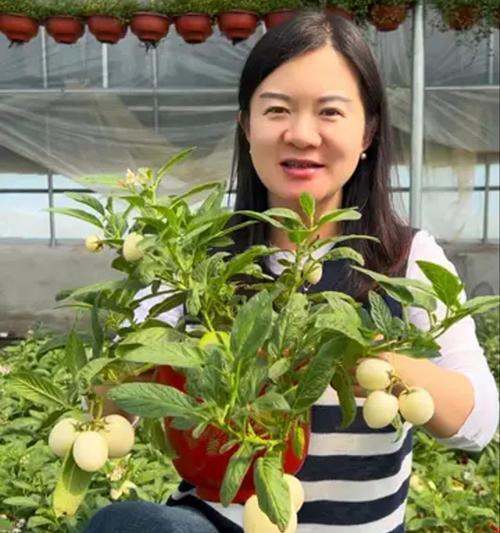 特种果树栽培的关键技术要点是什么？