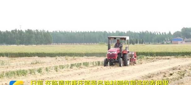 麦田播种玉米的最佳方法是什么？