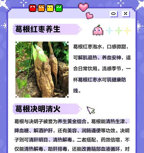 大型葛根盆景的养护技巧有哪些？