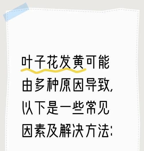 桉树叶子发黄的解决方法有哪些？