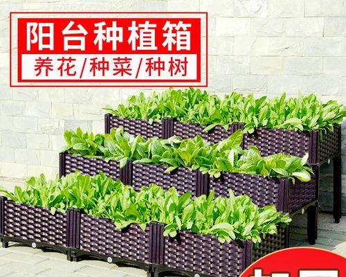 君子兰使用噻虫嗪的正确方法是什么？