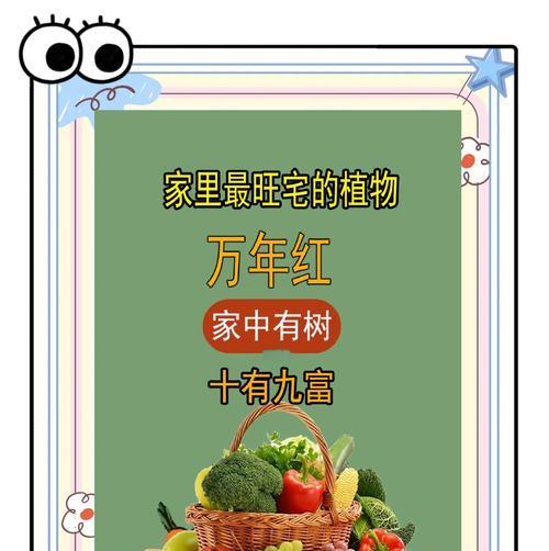 世界观赏植物有哪些特点？如何分类养护？