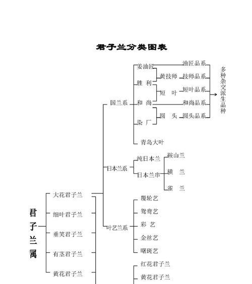 短圆叶子的君子兰是什么品种？如何识别和养护？