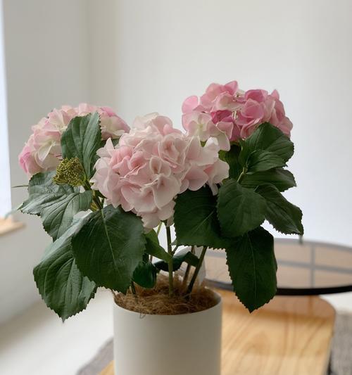 阳台外面的假花应该叫什么？