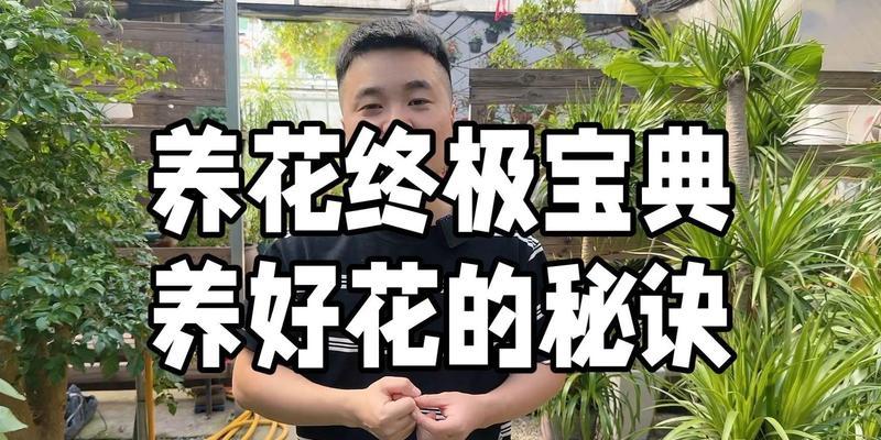 浇水施肥有哪些具体操作技巧？
