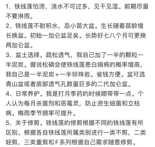 如何使铁线莲的叶子更加繁茂？
