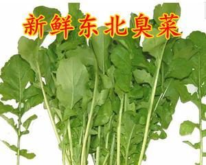 臭菜叶子发黄的原因是什么？如何解决叶子发黄问题？