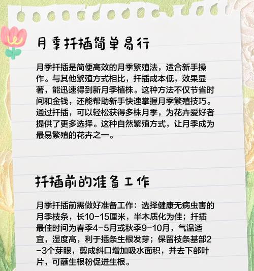 扦插月季出现黑头应该怎么办？