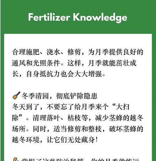 家庭养护月季如何预防虫害？有哪些有效的防虫方法？