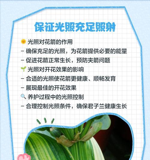 君子兰长花箭浇水方法是什么？