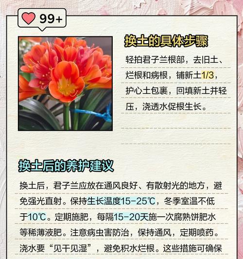 毛兰君子兰适宜的土壤类型有哪些？