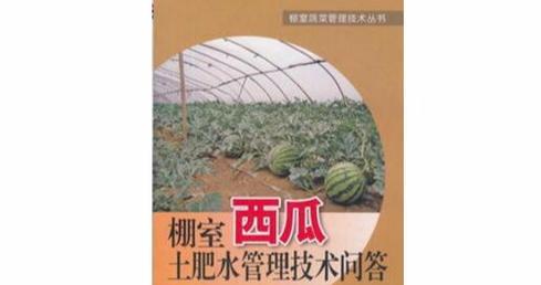 西瓜冲肥以及浇水方法是什么？如何科学管理西瓜的肥水？