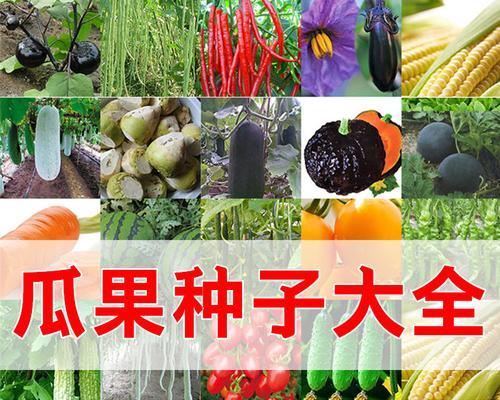 圆瓜种子的最佳播种时间是什么时候？