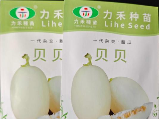 圆瓜种子的最佳播种时间是什么时候？