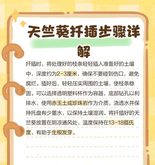 天竺葵插枝的正确方法是什么？如何提高成活率？