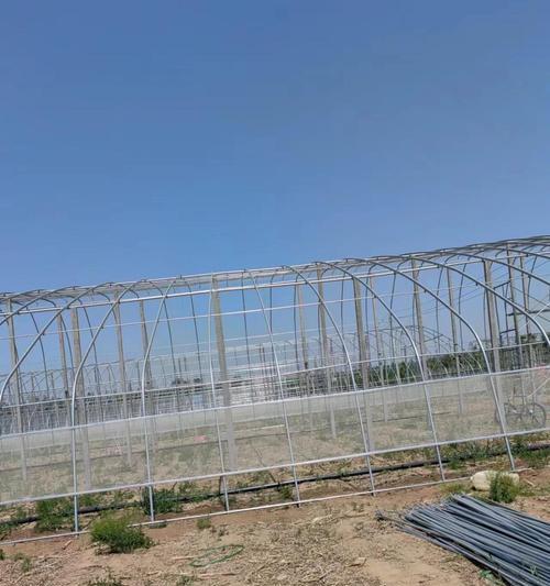 被膜栽培技术的几种常见方法是什么？