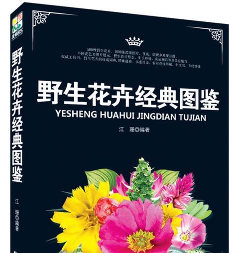 董干镇野生花卉种类有哪些？