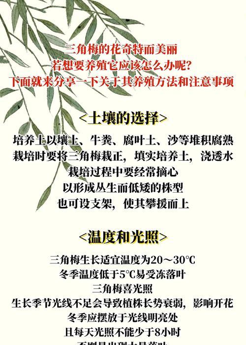 三角梅斜杆如何矫正成正杆？操作方法是什么？