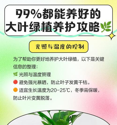 落地绿叶盆景的养护技巧是什么？