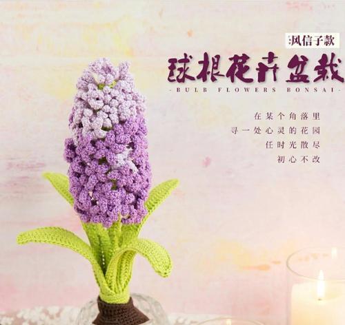 如何养护开花球根植物？