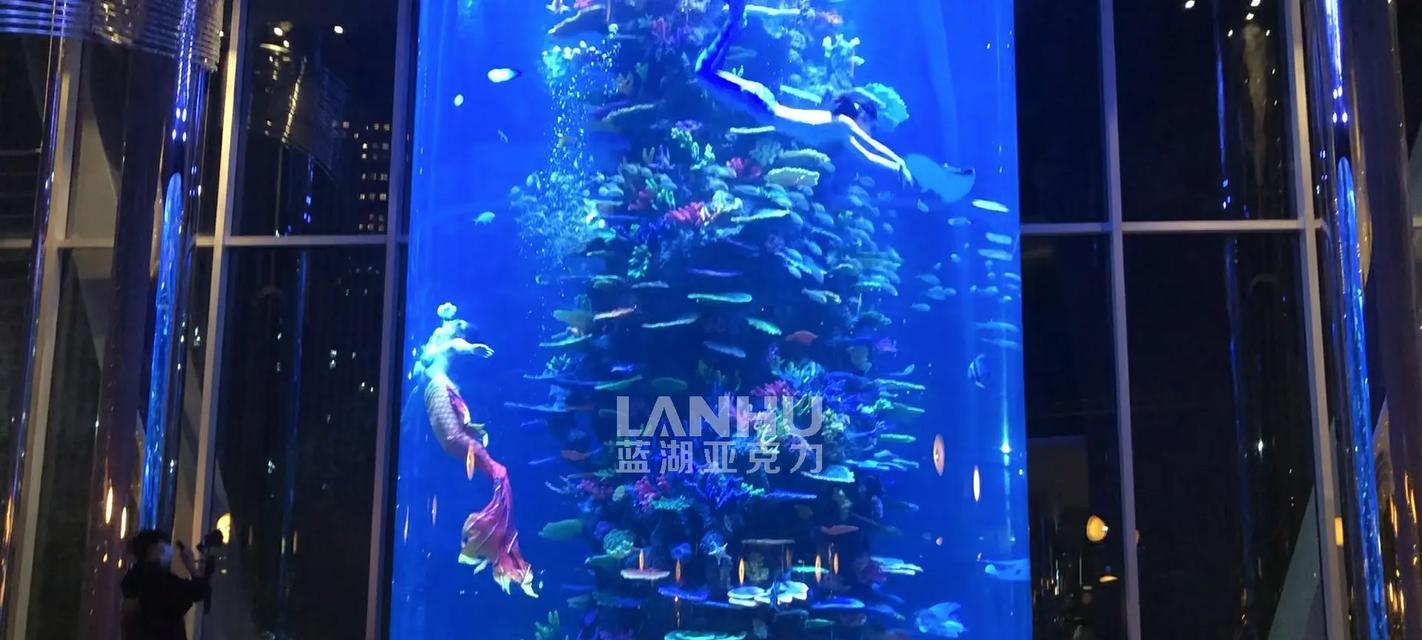 圆鱼缸适合种植哪些观赏植物？如何选择合适的植物？