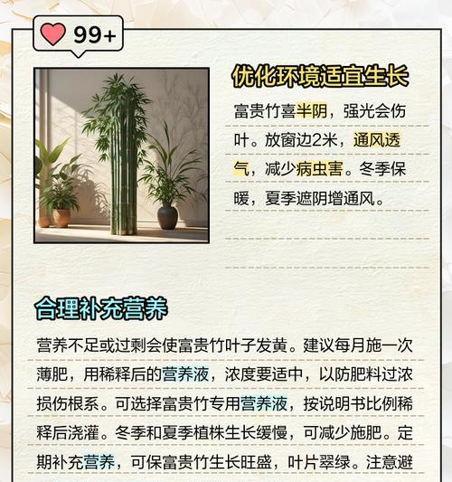 富贵竹浇水后叶子发黄如何处理？