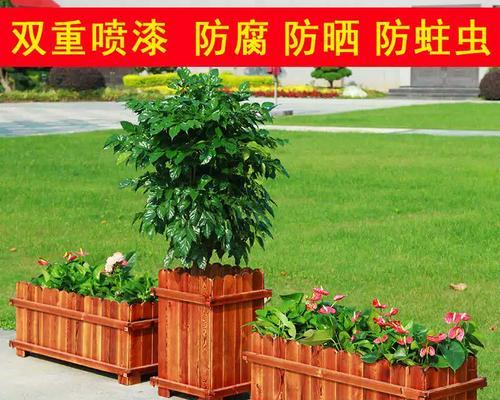 狗头浇水解毒的正确方法是什么？