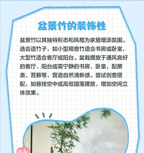 北方盆景竹子的养殖技巧有哪些？