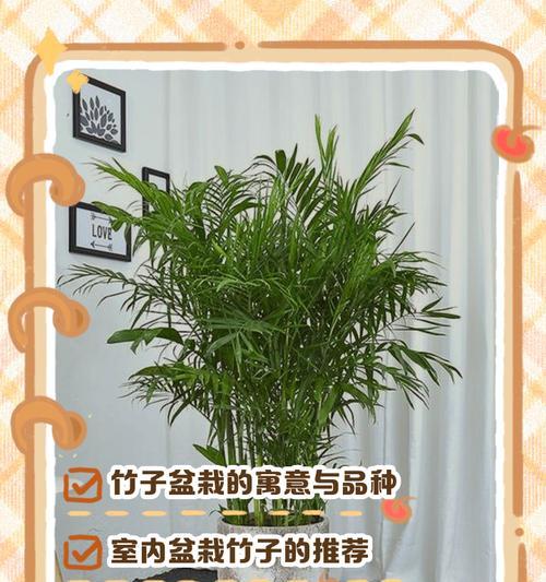北方盆景竹子的养殖技巧有哪些？