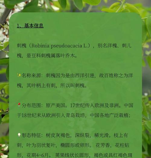 国槐繁殖和栽培的技术要点是什么？