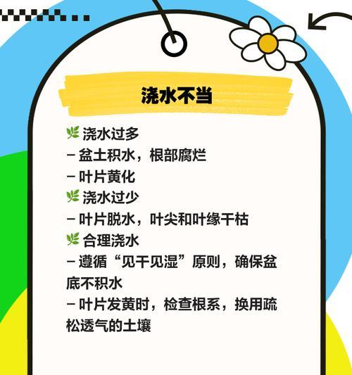君子兰叶片长黄斑的原因及预防措施是什么？